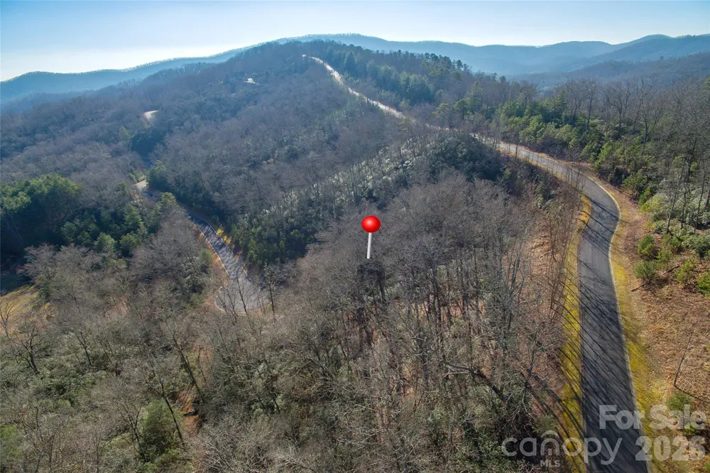 9999 Mayfly Lane #106 Horse Shoe, NC 28742