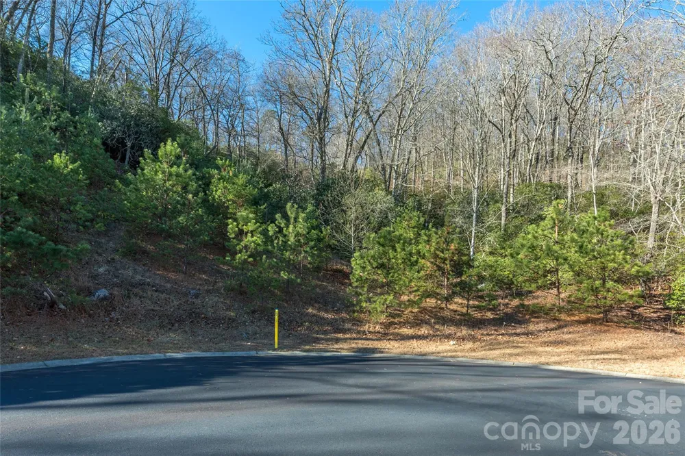 9999 Mayfly Lane #106 Horse Shoe, NC 28742