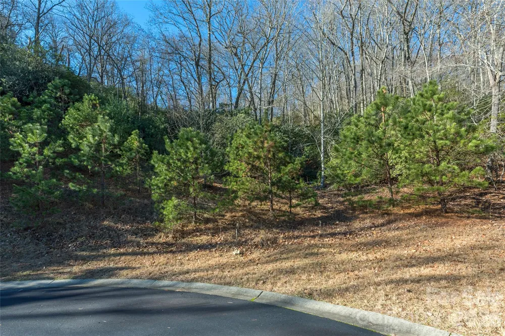 9999 Mayfly Lane #106 Horse Shoe, NC 28742
