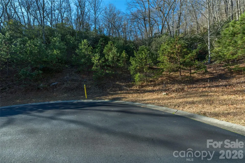 9999 Mayfly Lane #106 Horse Shoe, NC 28742