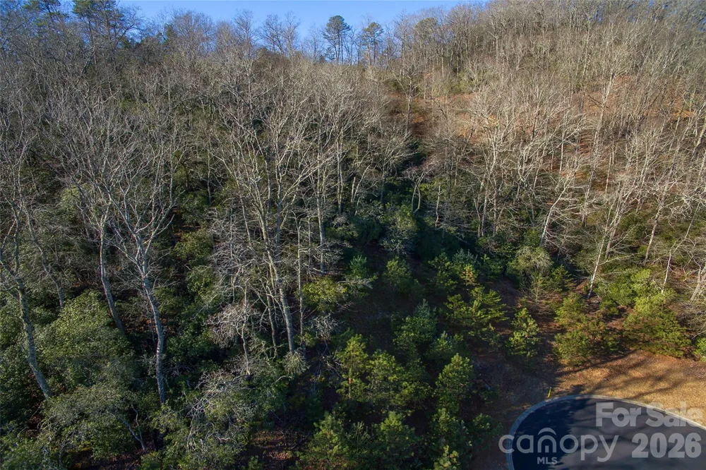 9999 Mayfly Lane #106 Horse Shoe, NC 28742