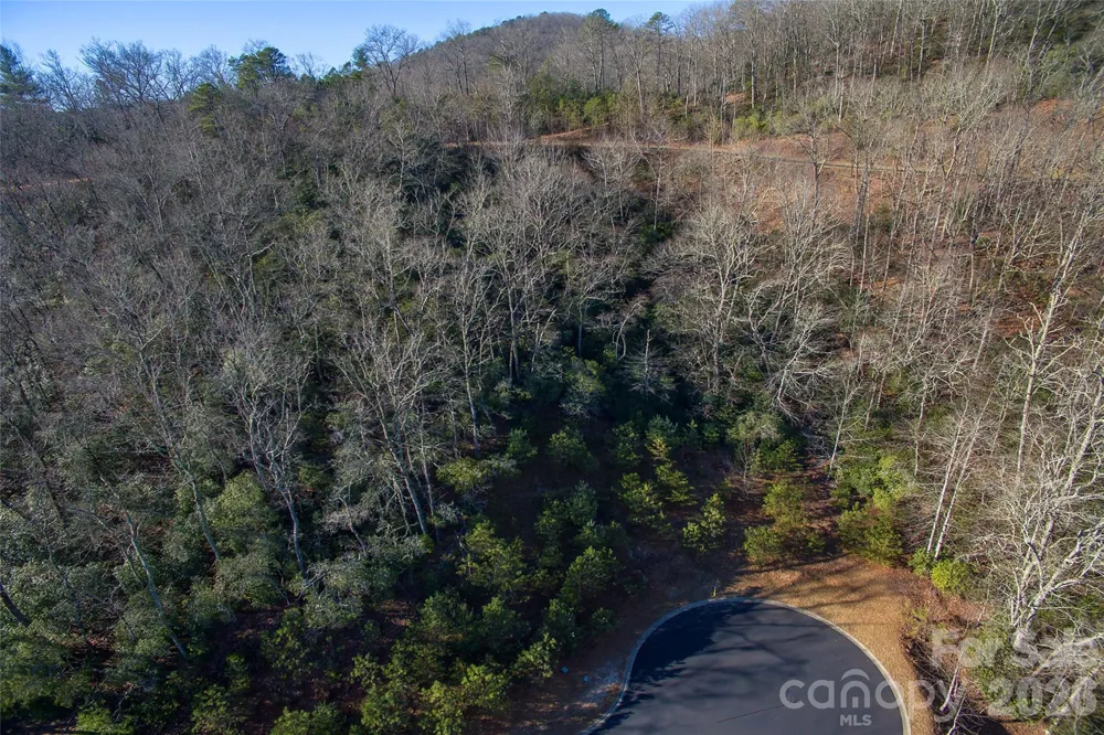9999 Mayfly Lane #106 Horse Shoe, NC 28742