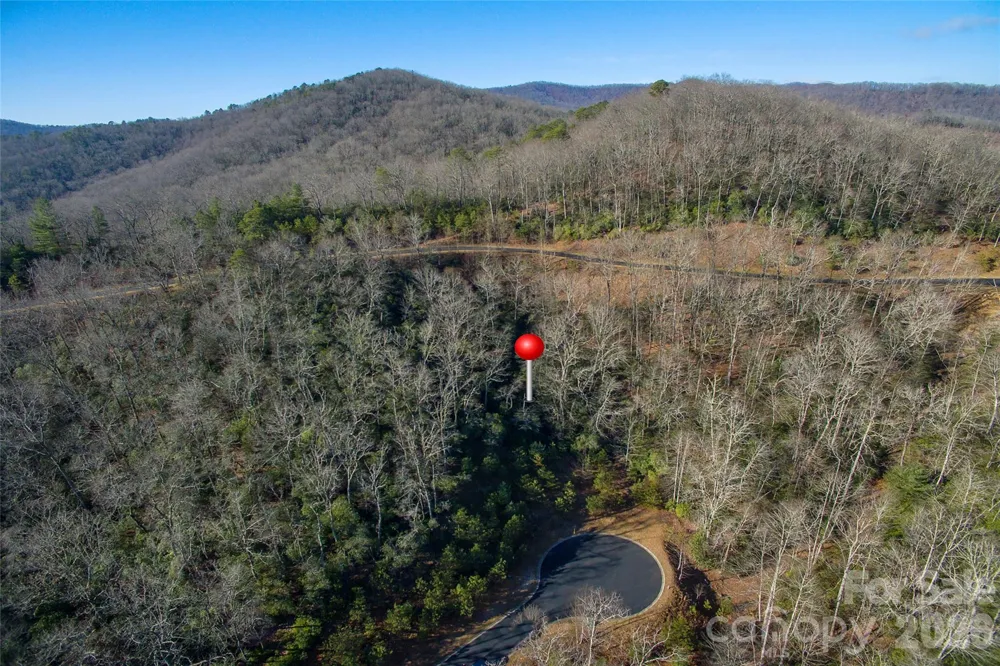 9999 Mayfly Lane #106 Horse Shoe, NC 28742