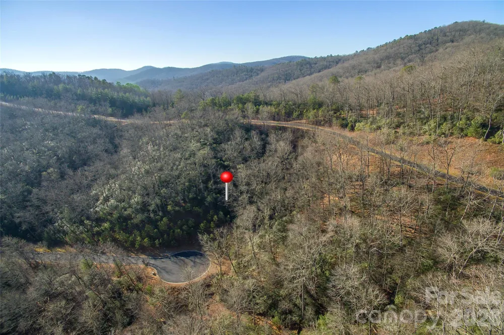 9999 Mayfly Lane #106 Horse Shoe, NC 28742