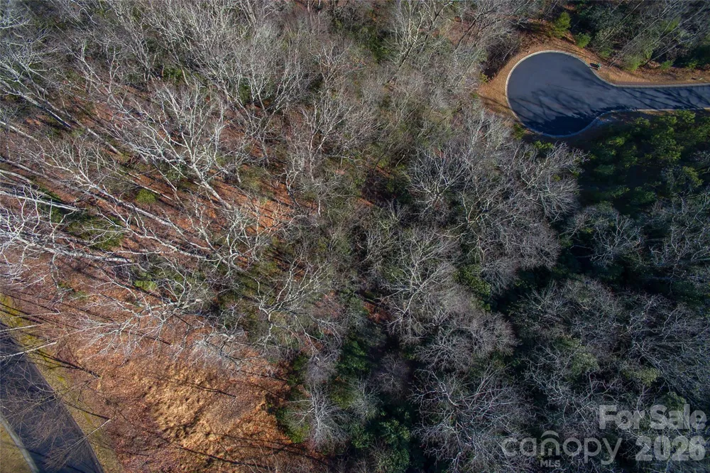 9999 Mayfly Lane #106 Horse Shoe, NC 28742
