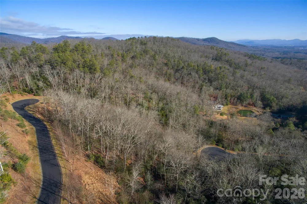 9999 Mayfly Lane #106 Horse Shoe, NC 28742