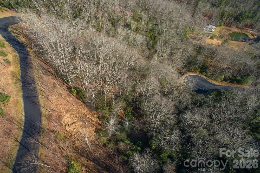 9999 Mayfly Lane #106 Horse Shoe, NC 28742