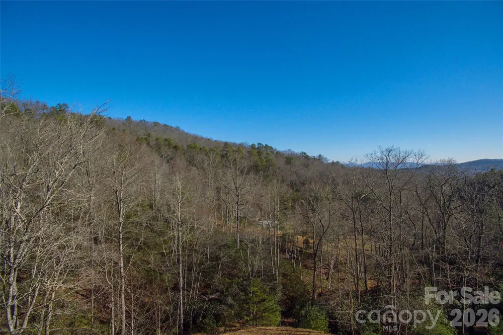 9999 Mayfly Lane #106 Horse Shoe, NC 28742