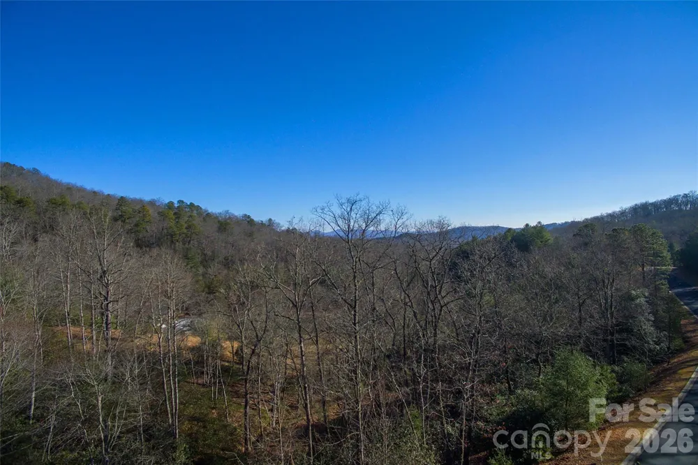 9999 Mayfly Lane #106 Horse Shoe, NC 28742