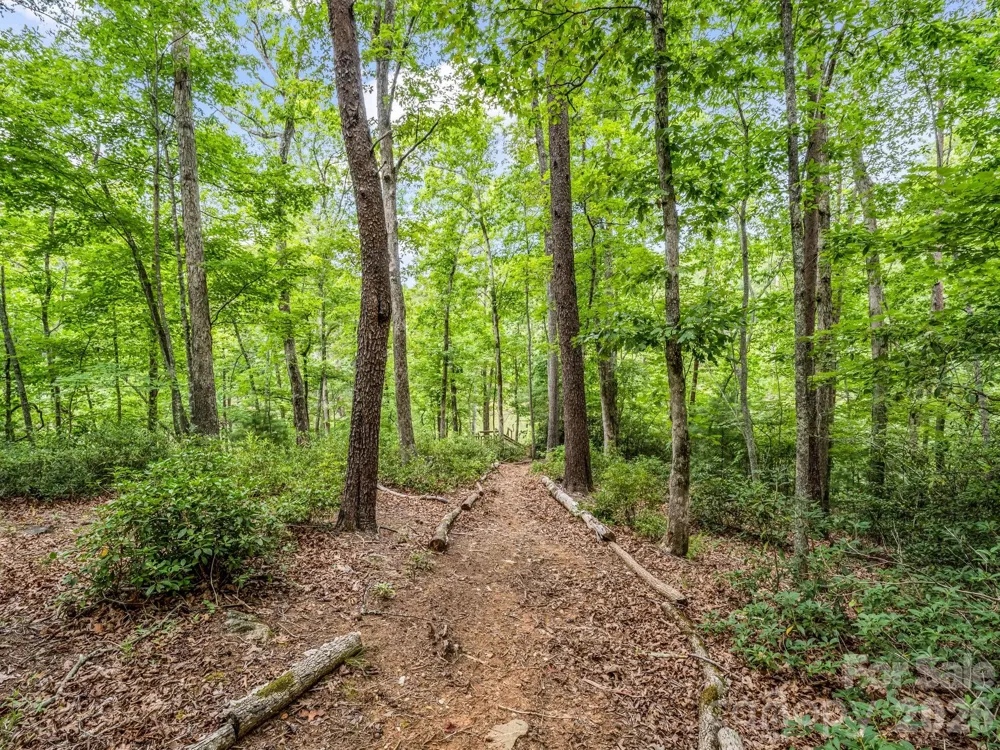 617 South Cove Road Mill Spring, NC 28756