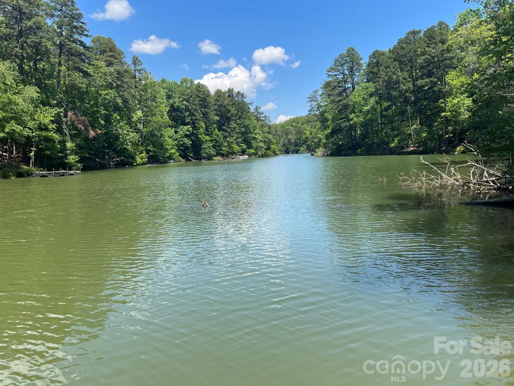 617 South Cove Road Mill Spring, NC 28756