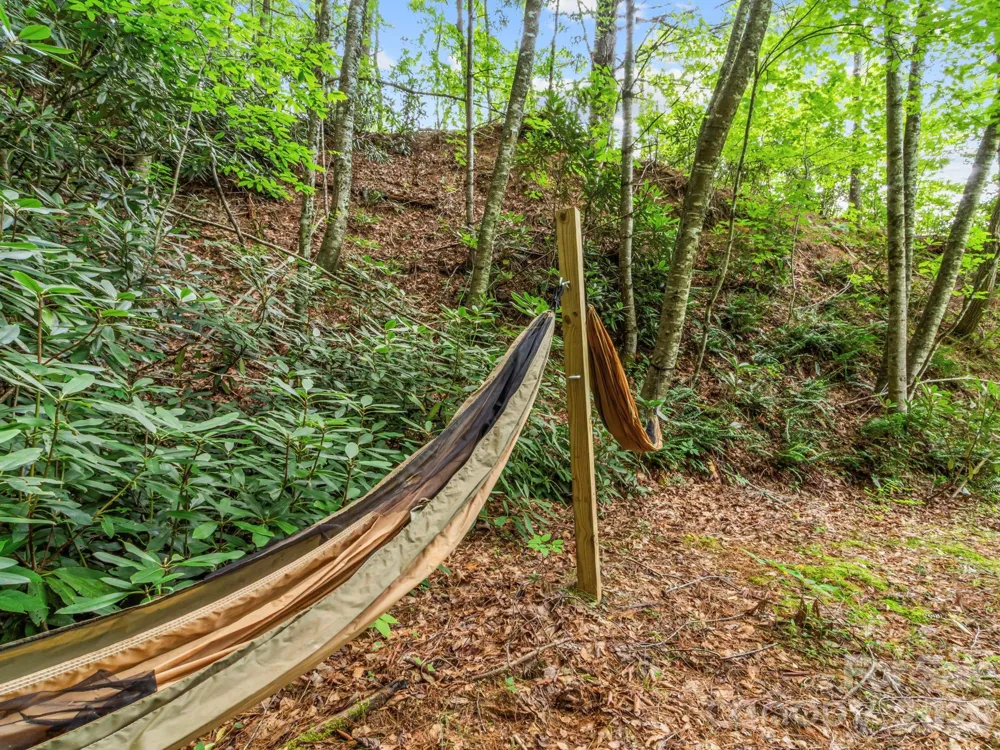1901 Blue Rock Road Burnsville, NC 28714
