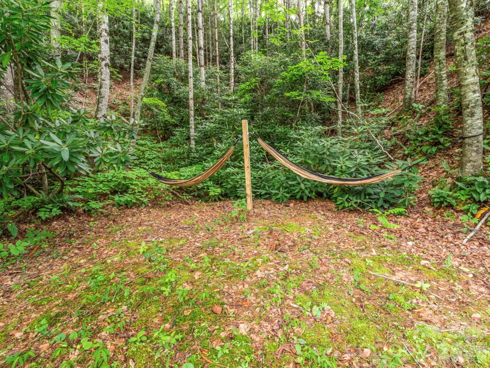 1901 Blue Rock Road Burnsville, NC 28714