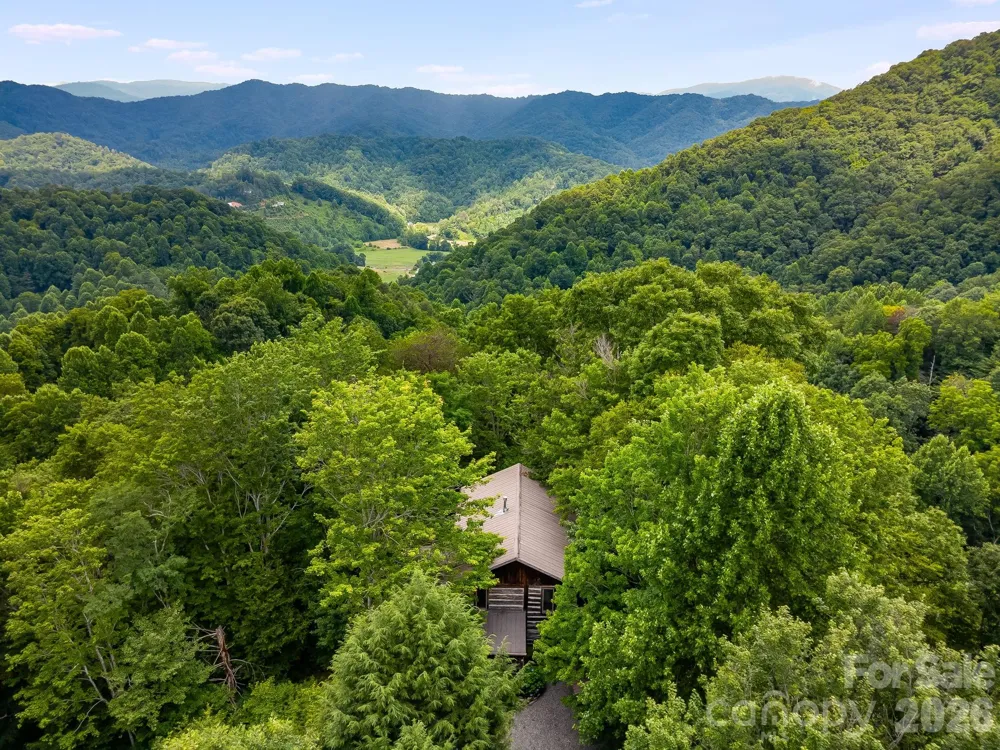 1390 Baltimore Branch Road Hot Springs, NC 28743