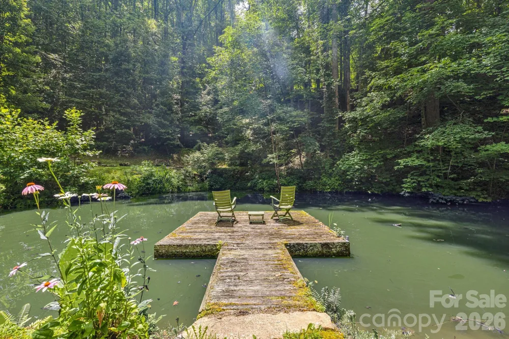1390 Baltimore Branch Road Hot Springs, NC 28743