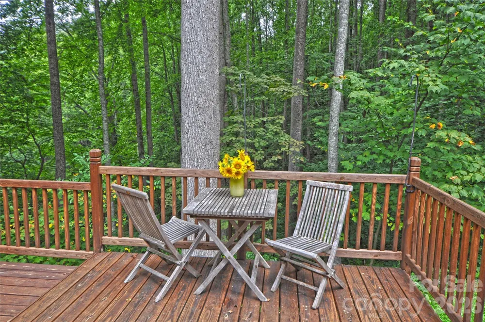 1390 Baltimore Branch Road Hot Springs, NC 28743