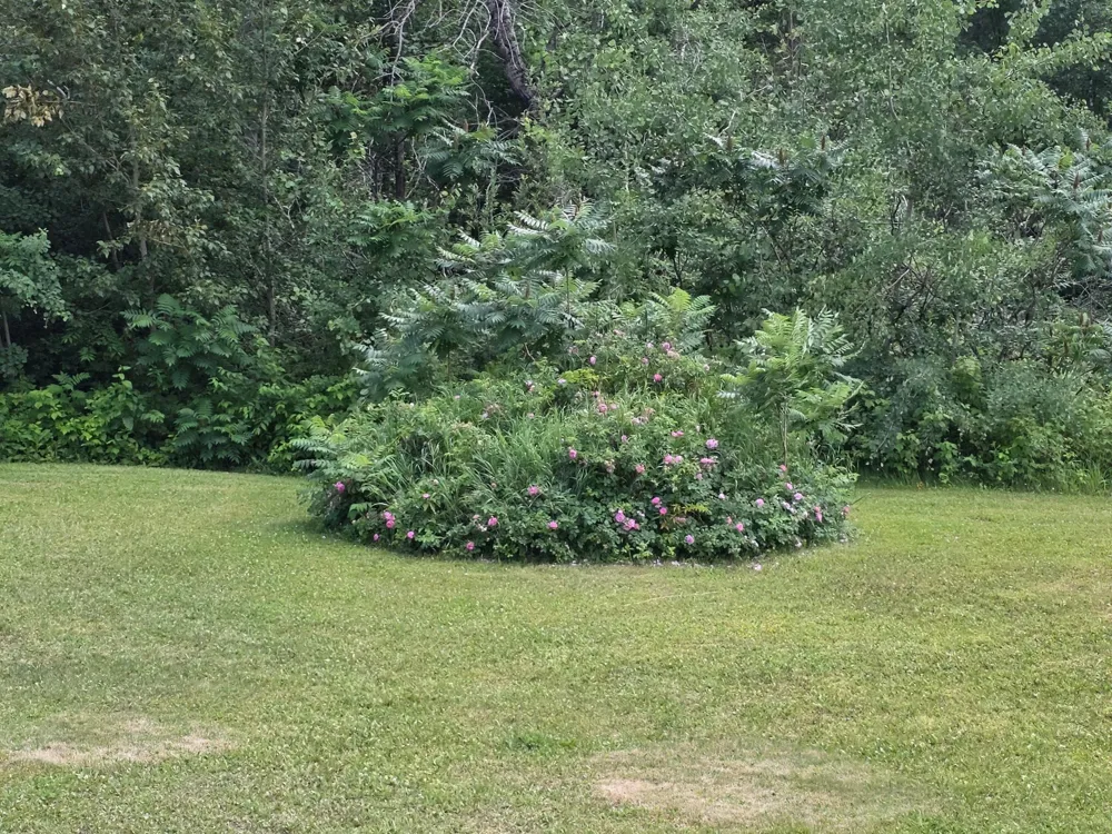 39859 County Road 63 Cohasset, MN 55721