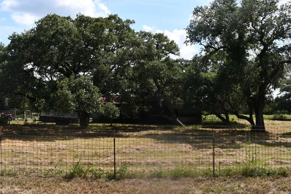 14600 Fm 530 Hallettsville, TX 77964