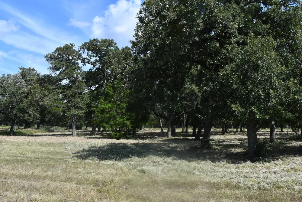 14600 Fm 530 Hallettsville, TX 77964