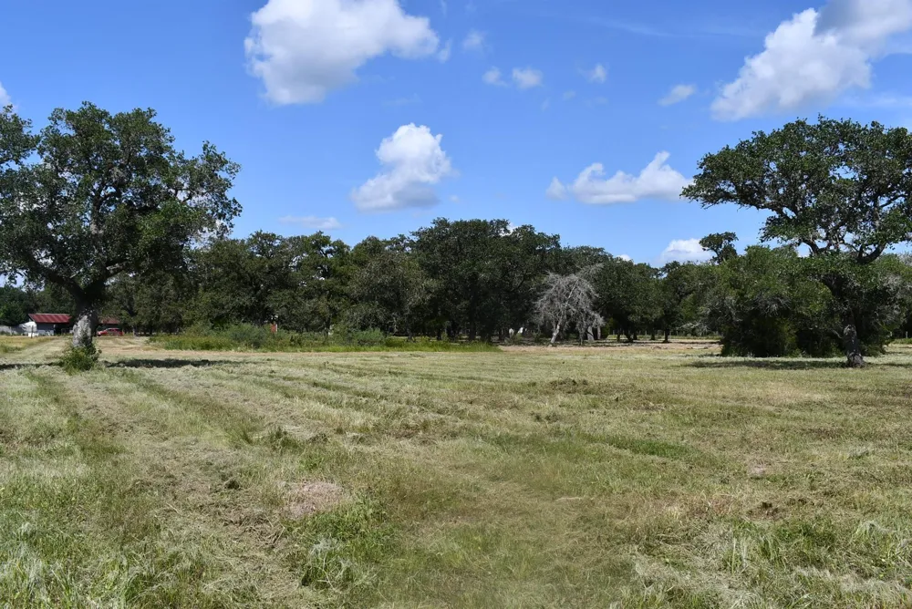 14600 Fm 530 Hallettsville, TX 77964