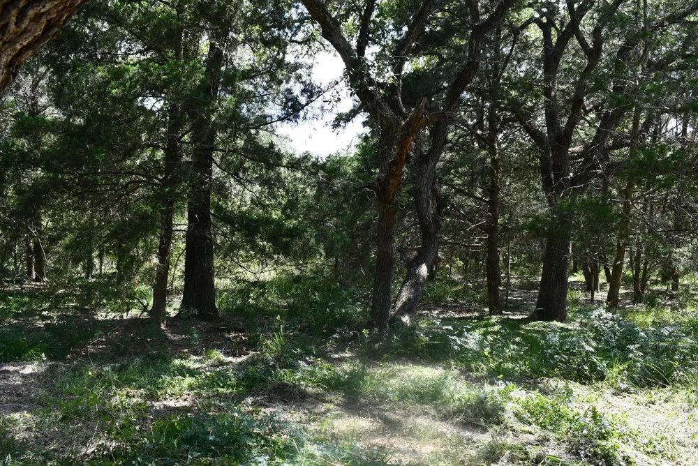 14600 Fm 530 Hallettsville, TX 77964