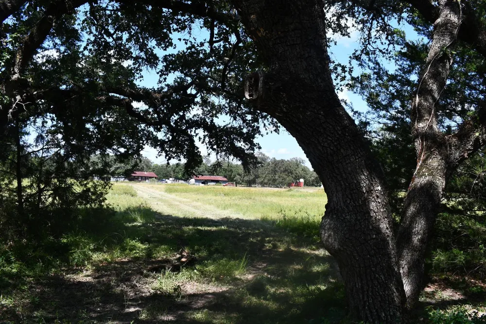 14600 Fm 530 Hallettsville, TX 77964