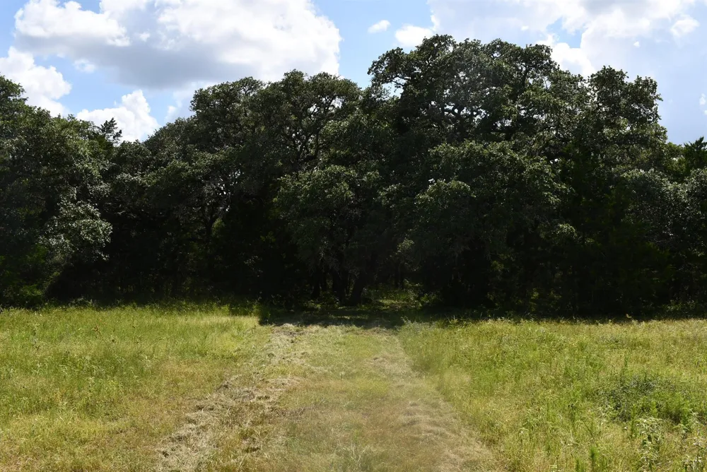 14600 Fm 530 Hallettsville, TX 77964