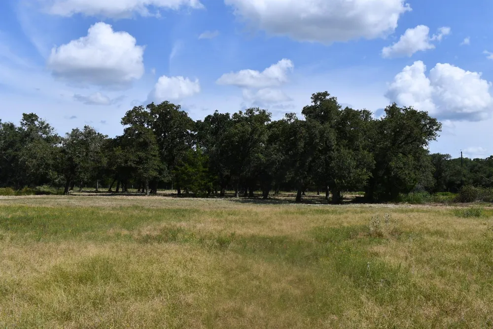 14600 Fm 530 Hallettsville, TX 77964