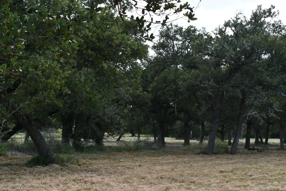 14600 Fm 530 Hallettsville, TX 77964