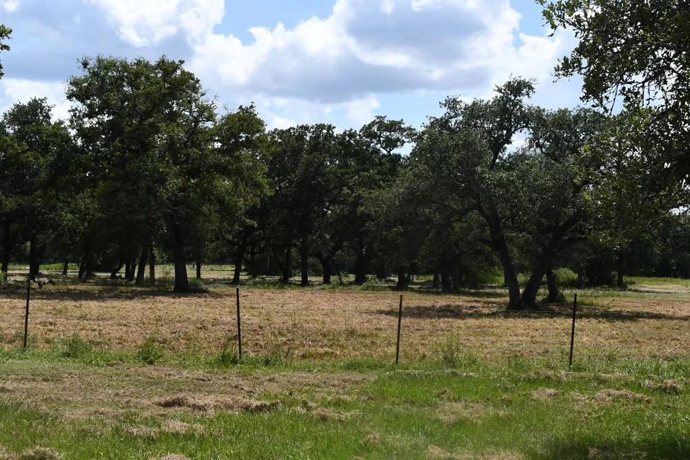 14600 Fm 530 Hallettsville, TX 77964