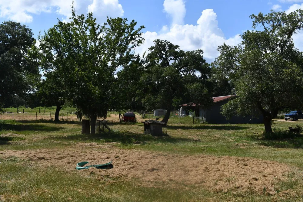 14600 Fm 530 Hallettsville, TX 77964