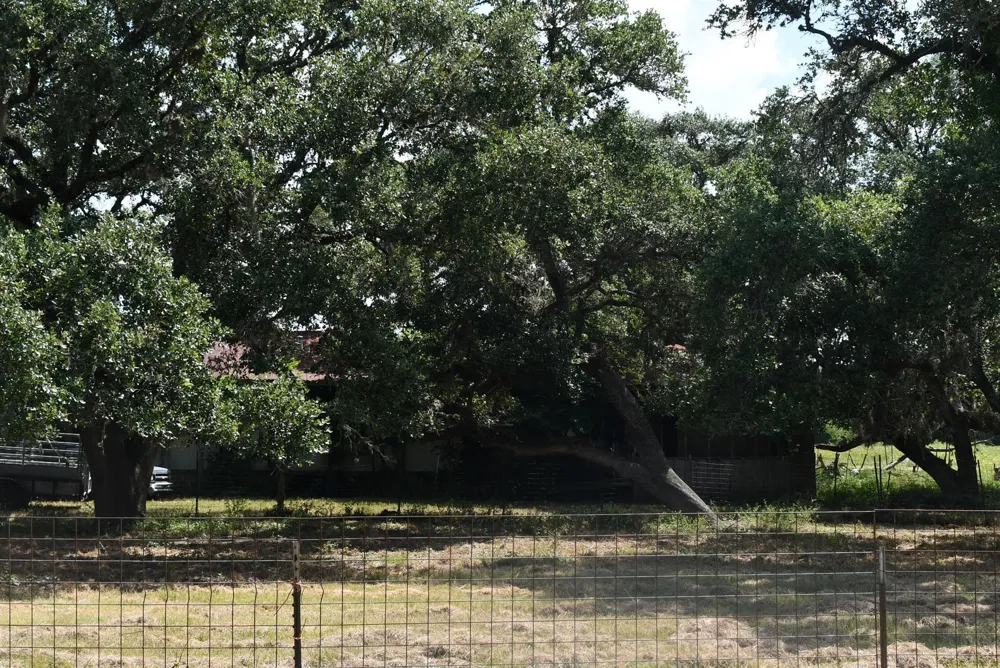 14600 Fm 530 Hallettsville, TX 77964