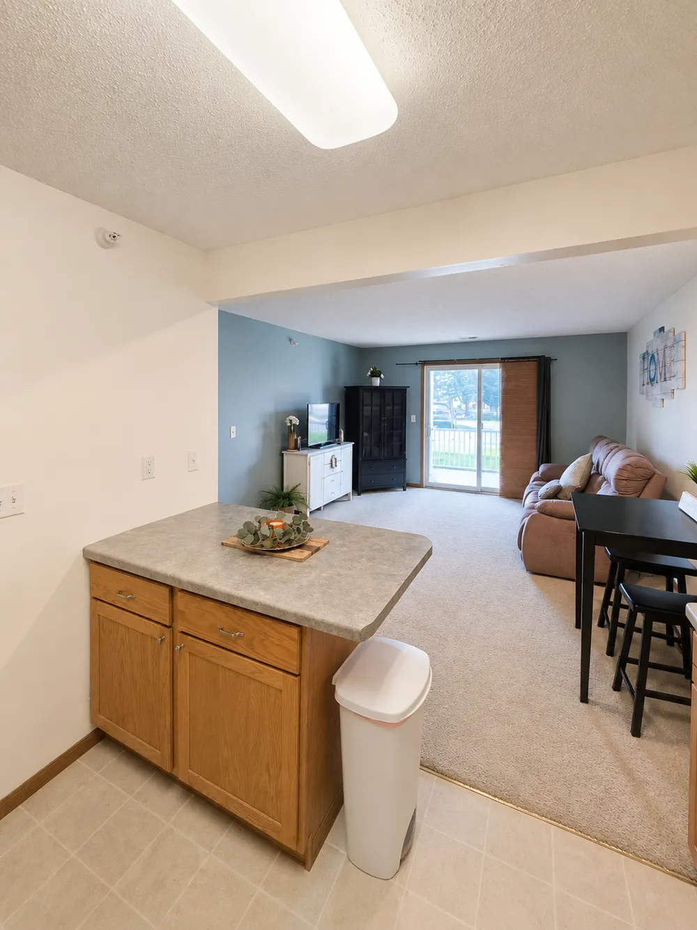 875 Bahls Drive #107 Hastings, MN 55033