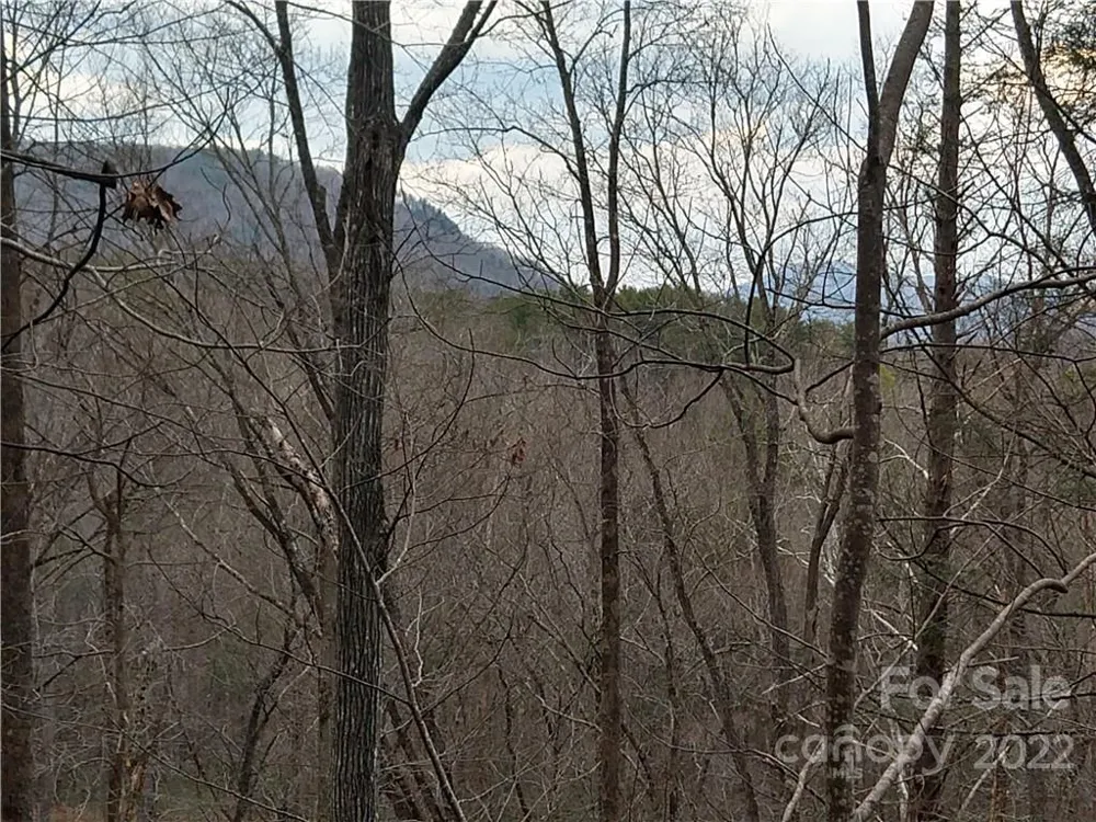 Lots 94 & 95 Rock Spring Road Lake Lure, NC 28746