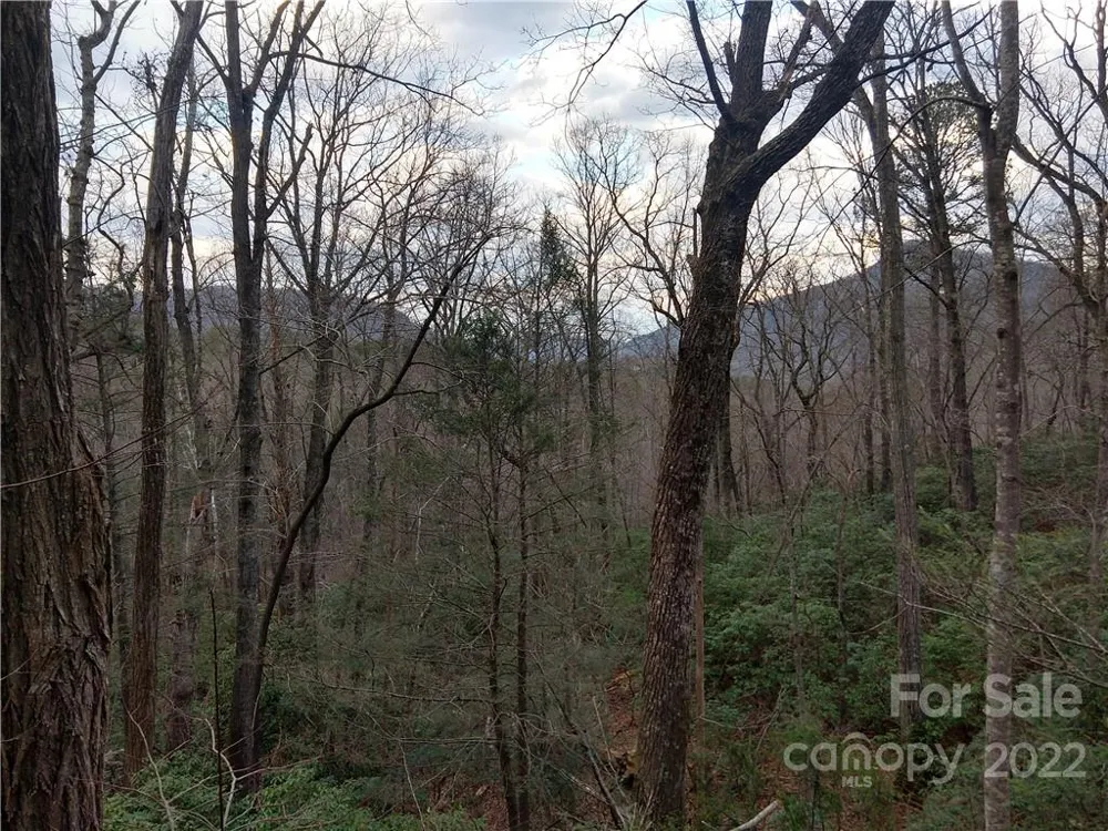 Lots 94 & 95 Rock Spring Road Lake Lure, NC 28746
