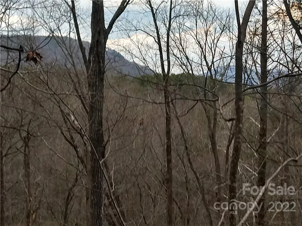 Lots 94 & 95 Rock Spring Road Lake Lure, NC 28746