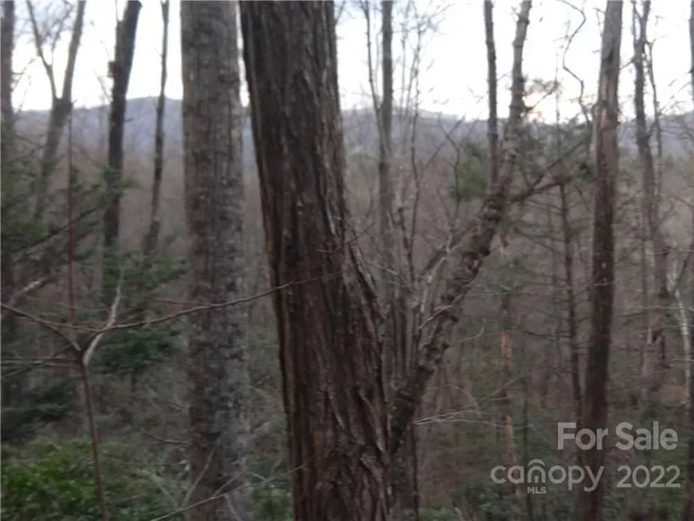 Lots 94 & 95 Rock Spring Road Lake Lure, NC 28746