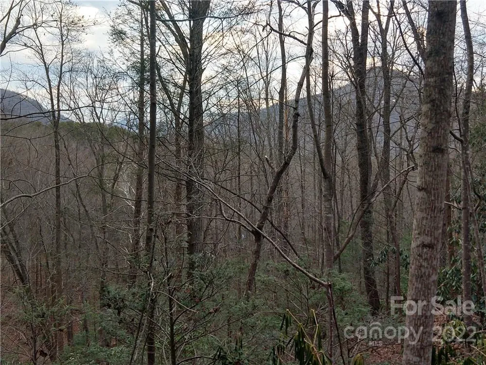Lots 94 & 95 Rock Spring Road Lake Lure, NC 28746