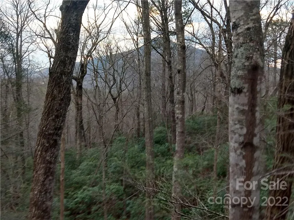 Lots 94 & 95 Rock Spring Road Lake Lure, NC 28746