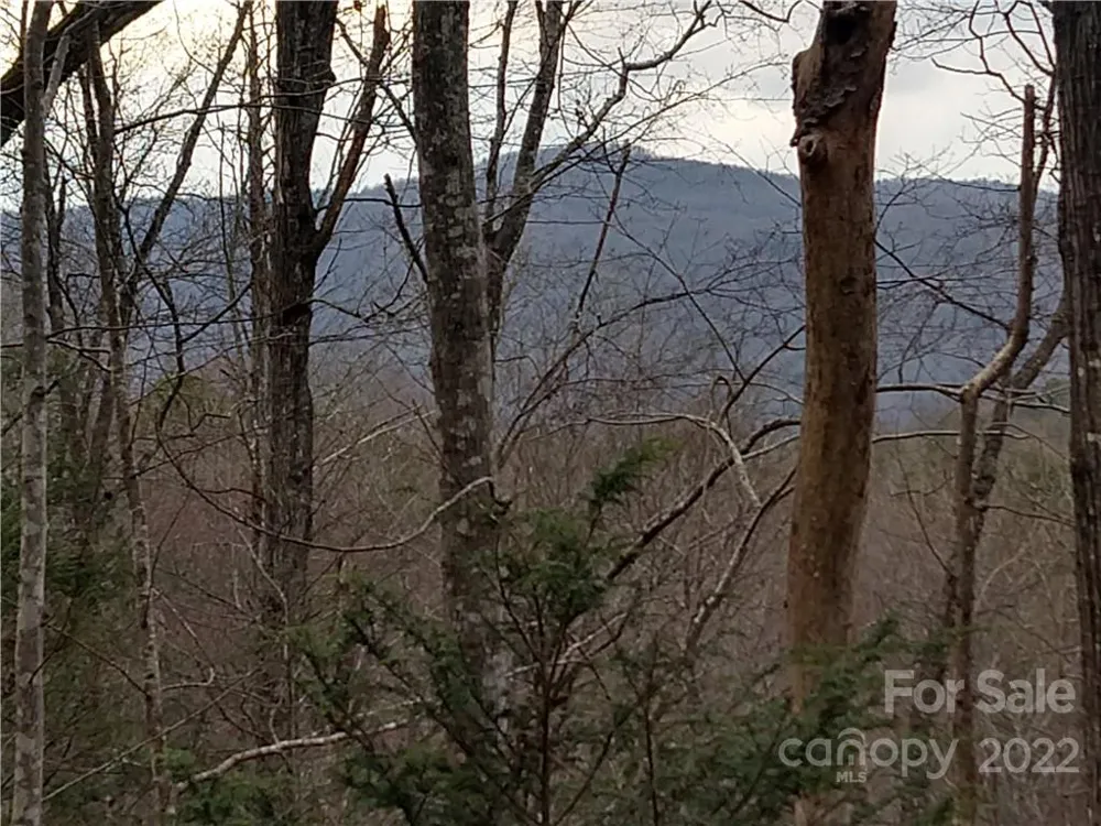 Lots 94 & 95 Rock Spring Road Lake Lure, NC 28746
