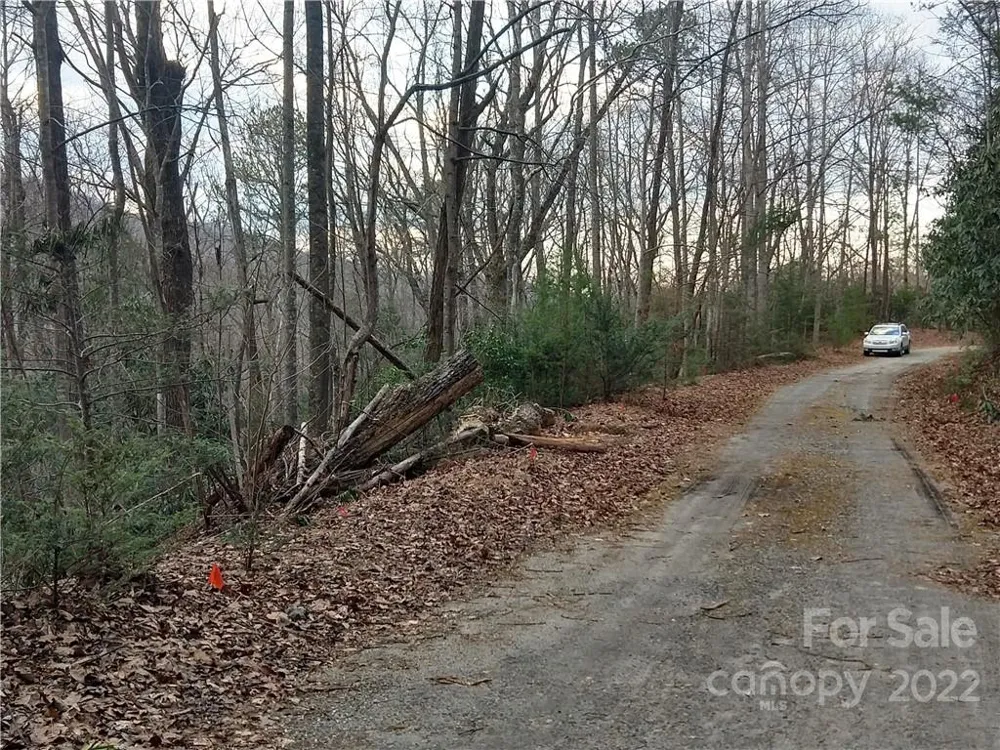 Lots 94 & 95 Rock Spring Road Lake Lure, NC 28746
