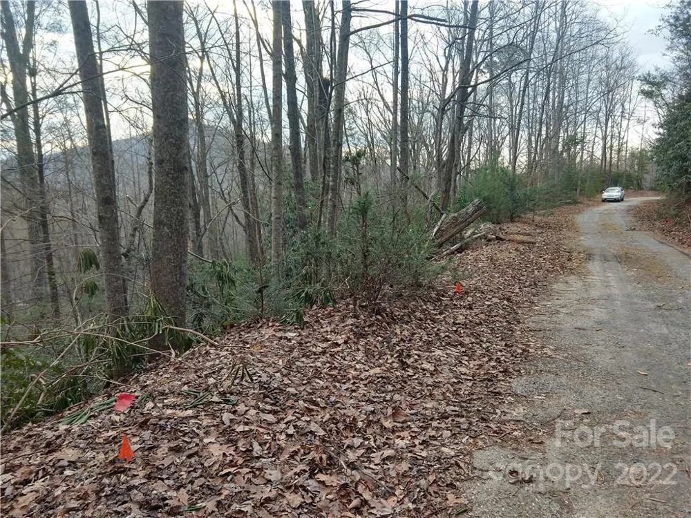 Lots 94 & 95 Rock Spring Road Lake Lure, NC 28746