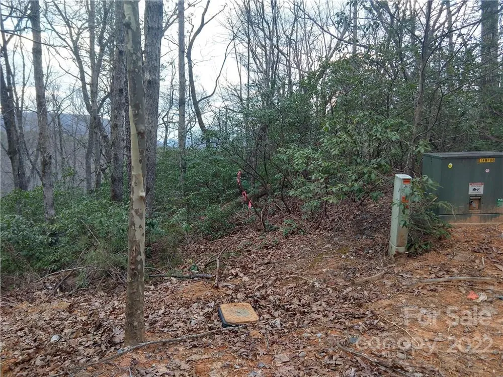 Lots 94 & 95 Rock Spring Road Lake Lure, NC 28746