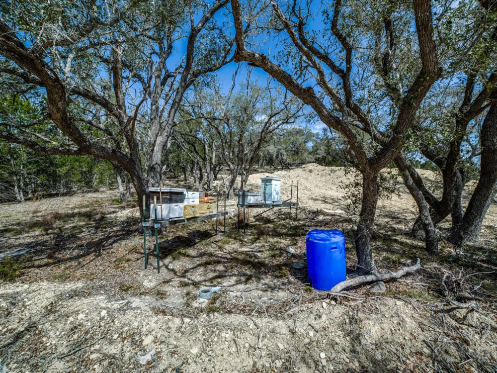 96 Billings Forest Street Boerne, TX 78006
