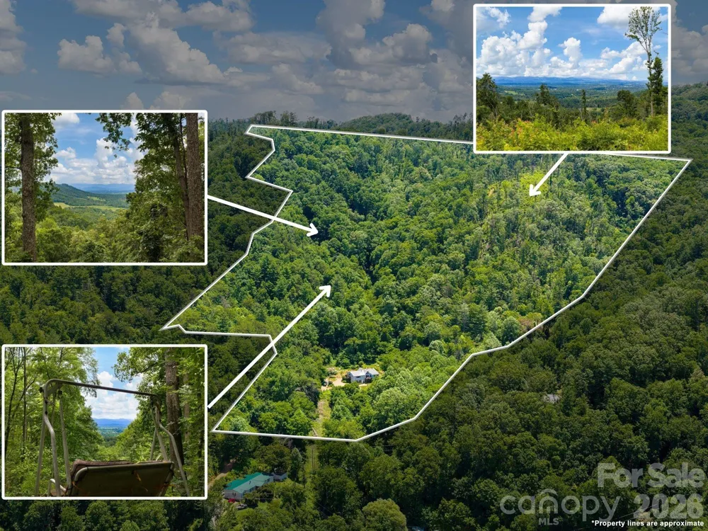 46 Perennial Ridge Weaverville, NC 28787