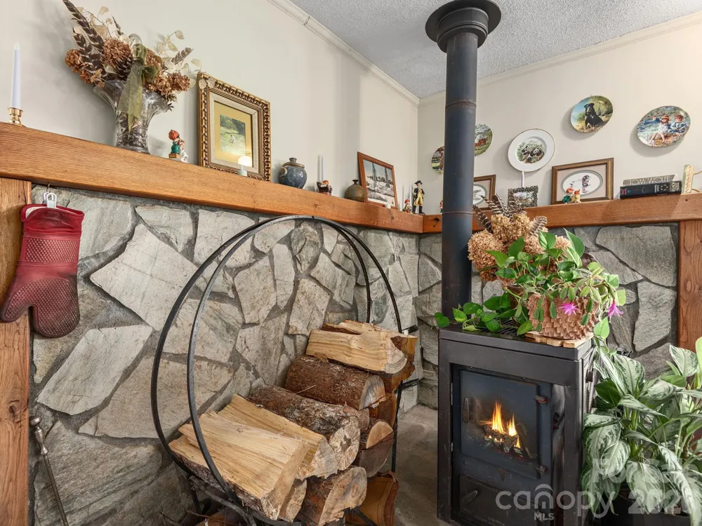 46 Perennial Ridge Weaverville, NC 28787