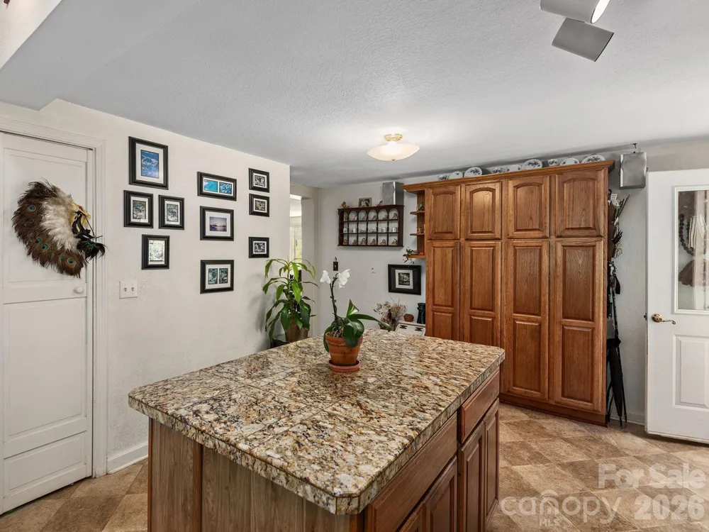 46 Perennial Ridge Weaverville, NC 28787