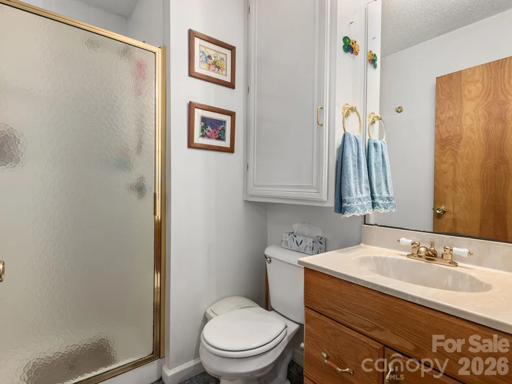 46 Perennial Ridge Weaverville, NC 28787
