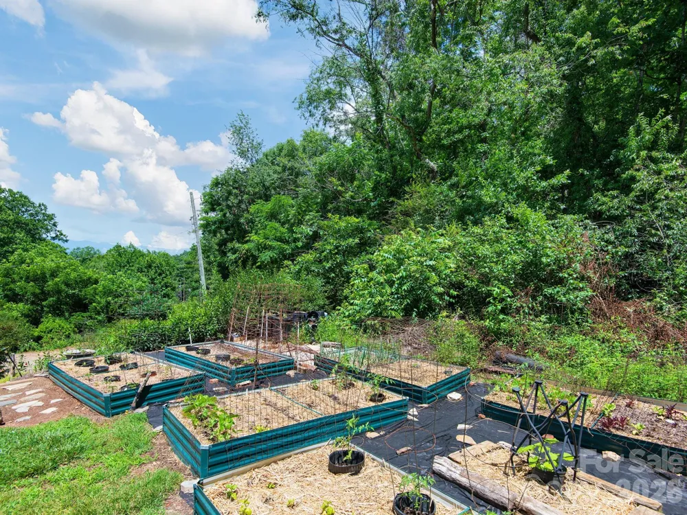 46 Perennial Ridge Weaverville, NC 28787