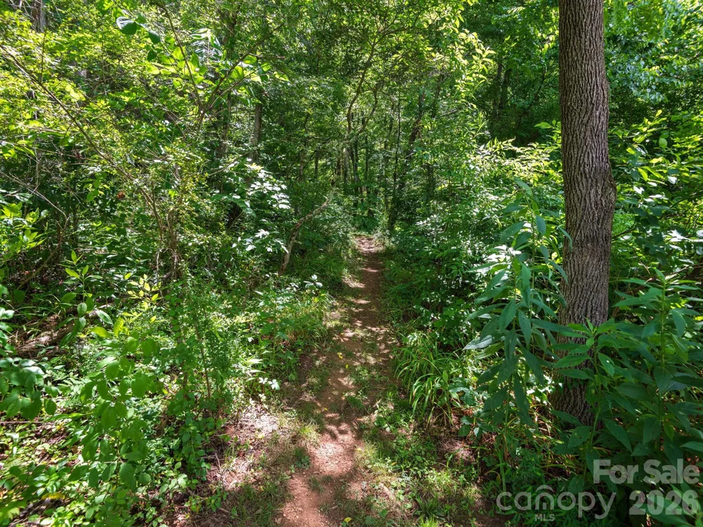 46 Perennial Ridge Weaverville, NC 28787